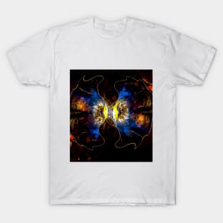 ornamental space T-Shirt